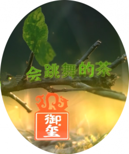 QQ截图20151229112034_副本